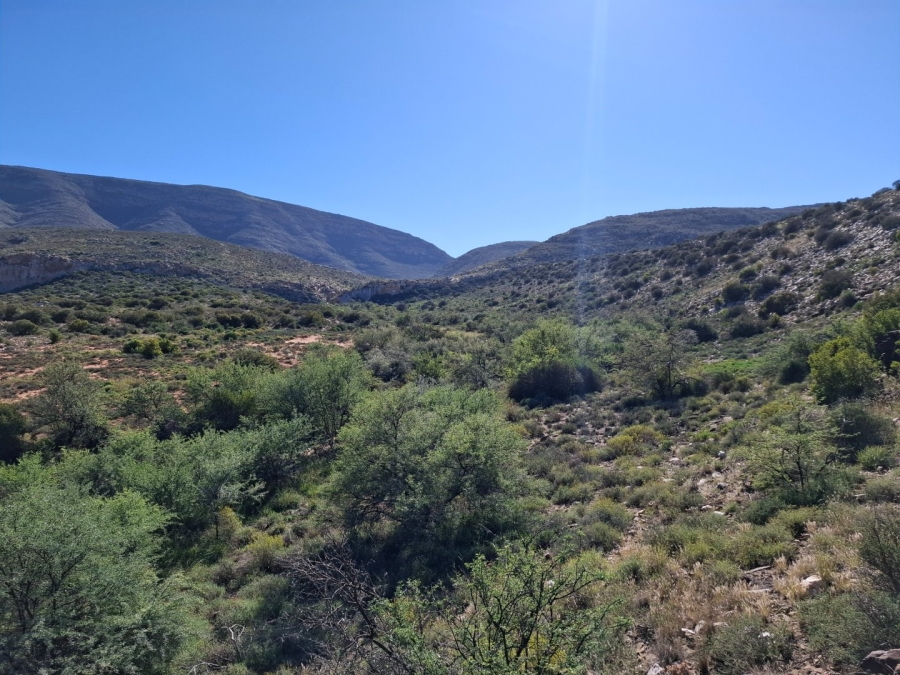  Bedroom Property for Sale in Ladismith Rural Western Cape